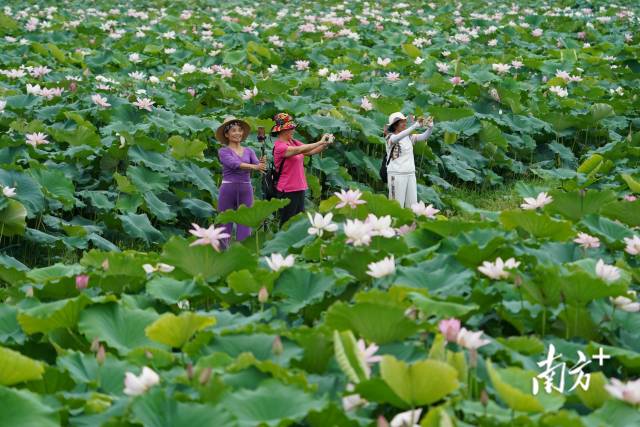 南方拍客看广东盛夏时光里他们与夏天一起灿烂鲜活