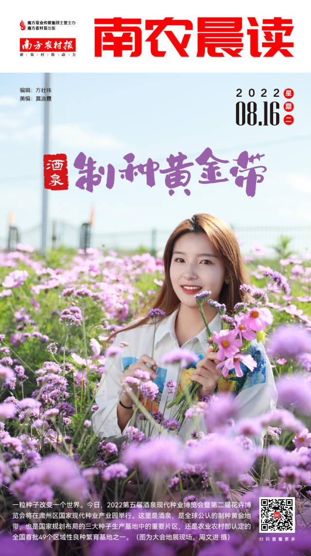 南农晨读｜酒泉：制种黄金带