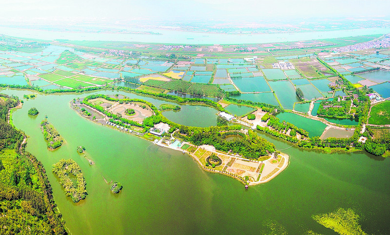 图为鸟瞰鼎湖区沙浦镇.梁小明 摄