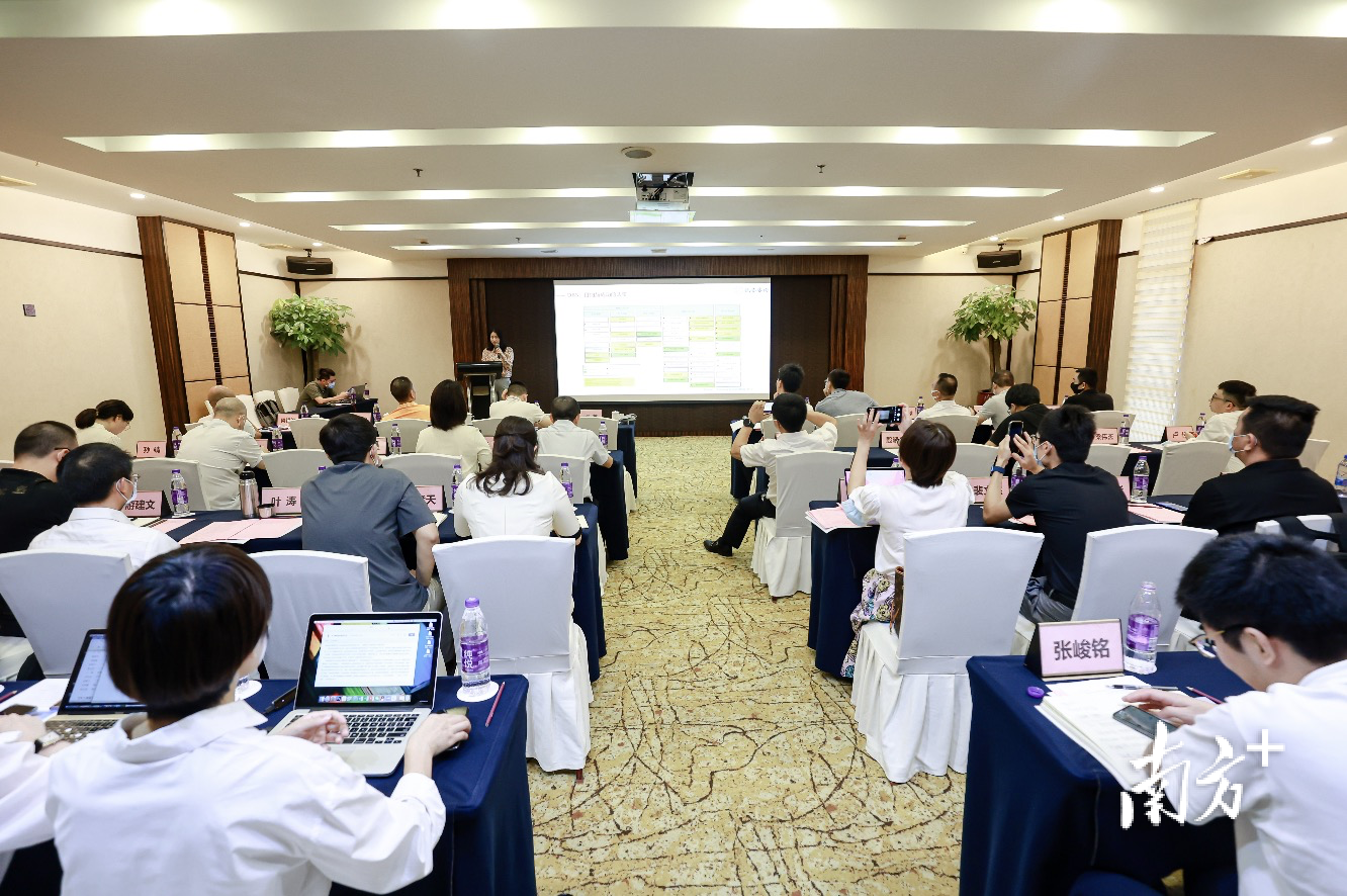 对接交流会现场。主办方供图