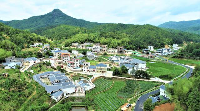 八尺镇排下村：弘扬东江源文化，做活“水文章”