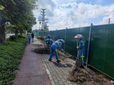 全力提升城乡“颜值”，南沙榄核镇开展市容环境卫生大整治专项行动