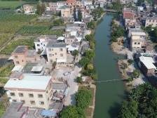 Hi 我在榄核的第81天