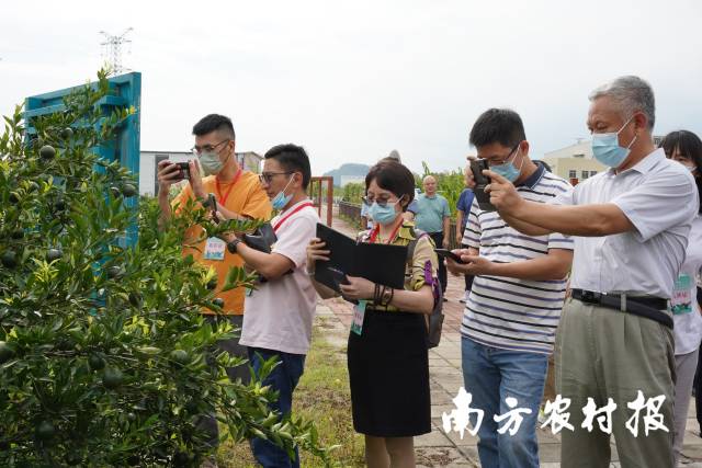 与会代表认真调研并做记录 与会代表认真调研并做记录