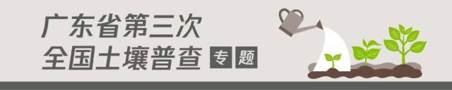 党员当先锋，“土壤三普”外业调查采样党旗飘