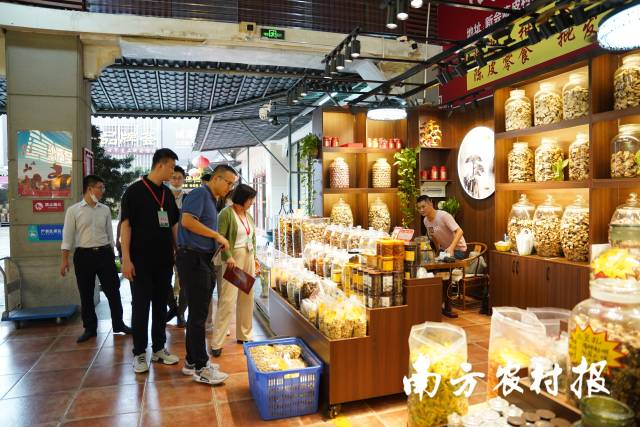 陈皮村新会陈皮展示与体验中心 陈皮村新会陈皮展示与体验中心