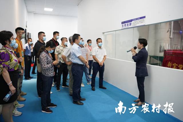 与会代表调研新宝堂生物酵素生产车间 与会代表调研新宝堂生物酵素生产车间