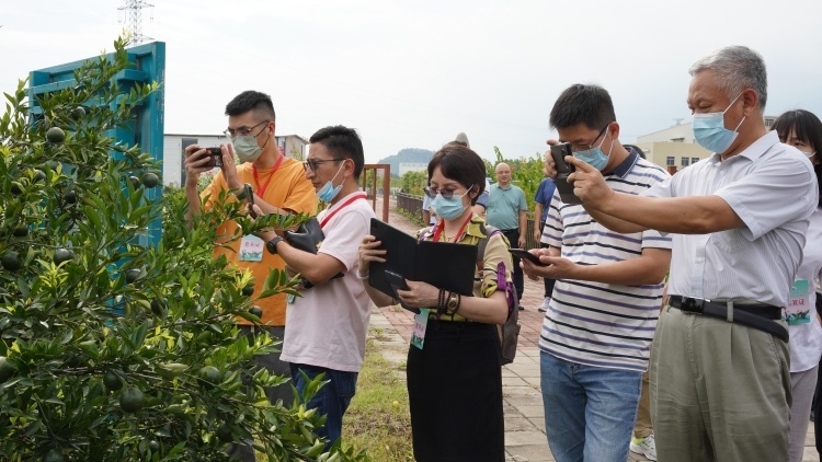 乡产投资联盟走进新会，为陈皮产业引入金融“活水”