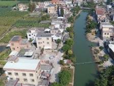 Hi 我在榄核的第82天