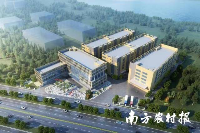 丽宫预制菜产业园 丽宫预制菜产业园