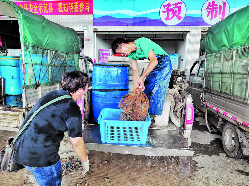 试运营的水产综合交易中心交易畅旺。