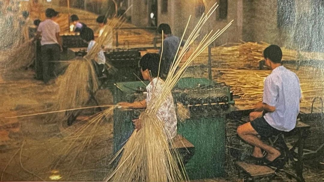 被称为“南海特产”的藤编 被称为“南海特产”的藤编