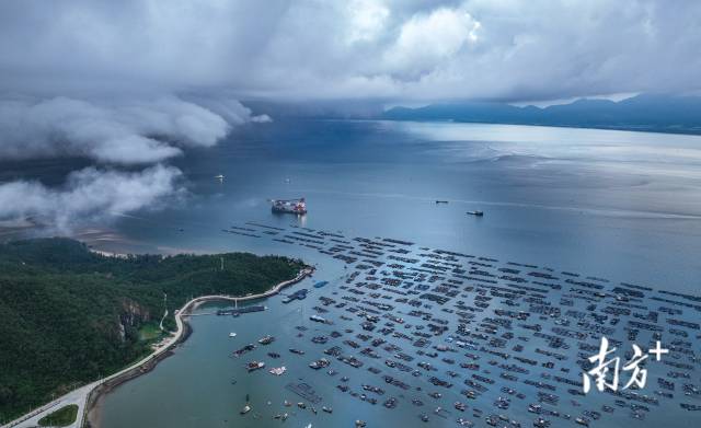 8月16日清晨,阳江市海陵岛闸坡渔港,云雾飘渺,渔船整齐排列迎开渔.