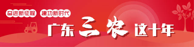 广东三农这十年 版头 受访者供图