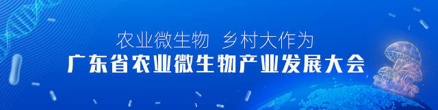 神奇！微距镜头看灵芝吐粉，东方仙草如何一“芝”独秀？