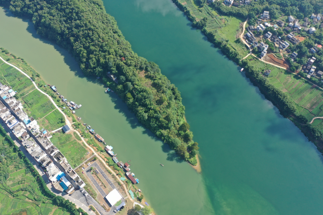 肇庆封开乡村振兴阔步前行看完这些亮点后更期待了