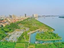 弘扬“塞罕坝精神”，不断扩大绿色版图，广东森林覆盖率提升至58.7%