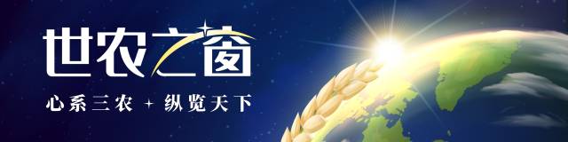 RCEP大家谈｜杨静：全力引导企业用好用足RCEP政策红利