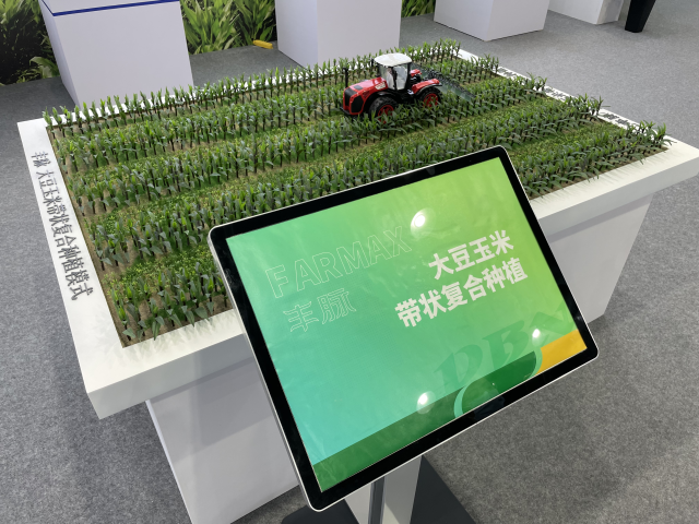 大豆玉米带状复合种植模式