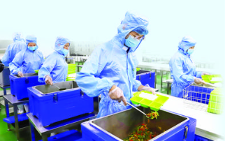 泰美镇加快推进预制菜产业发展。 泰美镇加快推进预制菜产业发展。