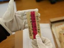 凝聚侨心汇侨智，服务大局建新功