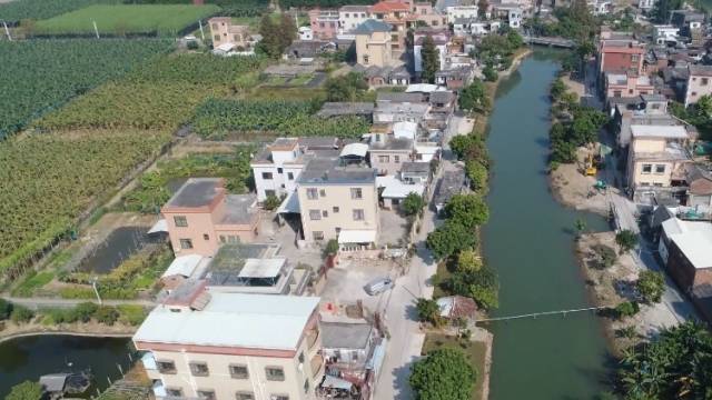 Hi 我在榄核的第86天