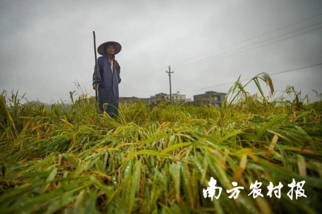 托管组织“战”台风启示录！