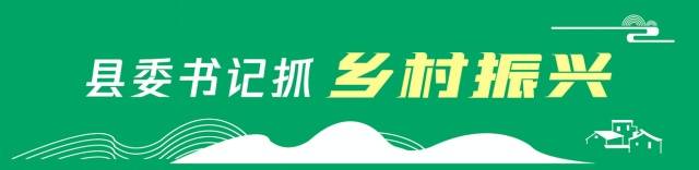 阳江市阳西县委书记张秀洁：数字兴农抢抓发展机遇，城乡融合壮大县域经济