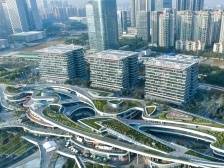 领湾向未来！宝安有宝地，逐梦正当时