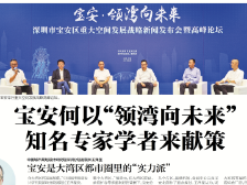 宝安何以“领湾向未来” ？知名专家学者来献策