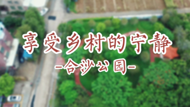 Hi 我在榄核的第87天