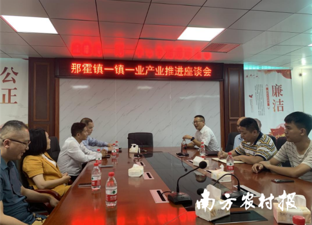 智库赋能，工作队加力！茂名电白那霍镇加快发展一镇一业助推乡村振兴