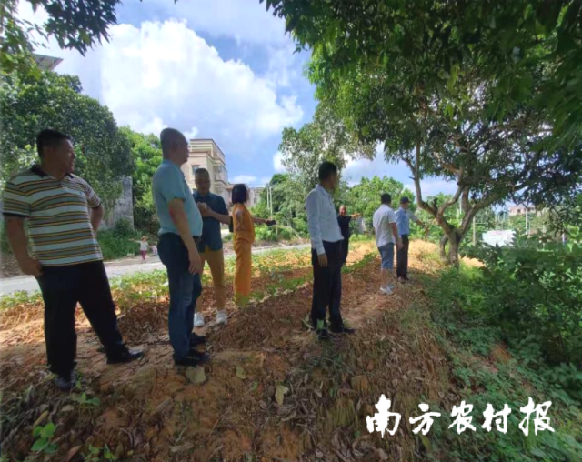 那霍红松茸种植示范村新塘村实地调研现场图。受访者供图 那霍红松茸种植示范村新塘村实地调研现场图。受访者供图