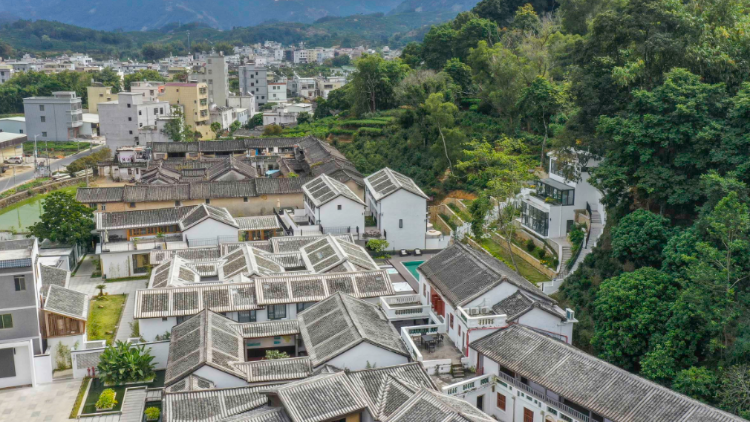 一地要抓早谋划配备新一届“两委”班子|市委书记抓乡村振兴（2022.08.22-08.28）
