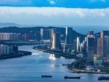 湾区风正劲 遒笔绘新篇