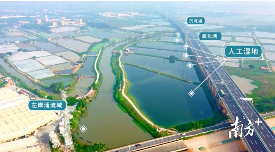 “生物改造”让左岸涌再现岭南水貌。佛山市生态环境局三水分局供图