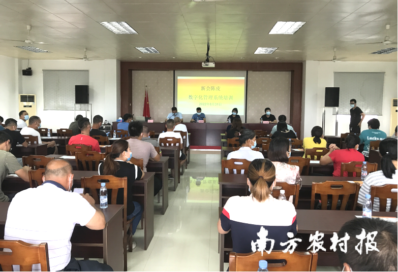 5天54场培训惠及全区！新会陈皮数字化管理系统培训启动（附培训安排表）