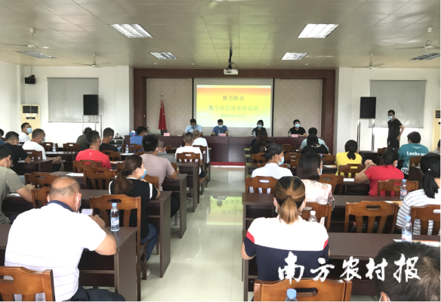 新会区在会城街道启动开展新会陈皮数字化管理系统培训。 新会区在会城街道启动开展新会陈皮数字化管理系统培训。