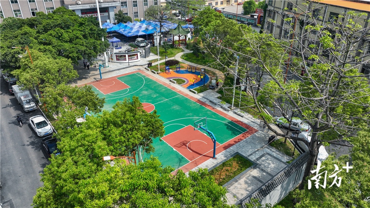 三新社区公园。受访单位供图