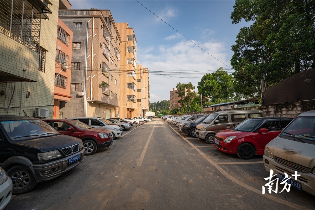 黄牛埔对村的停车位进行统一规划受访单位供图