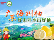 柚上央视！9月2日起，梅州柚将登陆央视