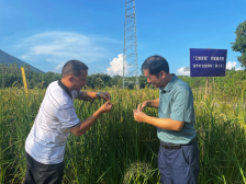 “新潮人”的乡村振兴实践|一文速览《南方日报·潮州观察》第101期