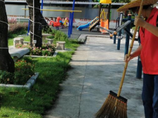 南沙榄核开展创文主题党日活动