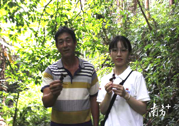 “岭先行”社会实践队实地调研春砂仁种植地。学校供图