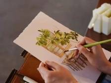 在画里简单地快乐着｜人生知道