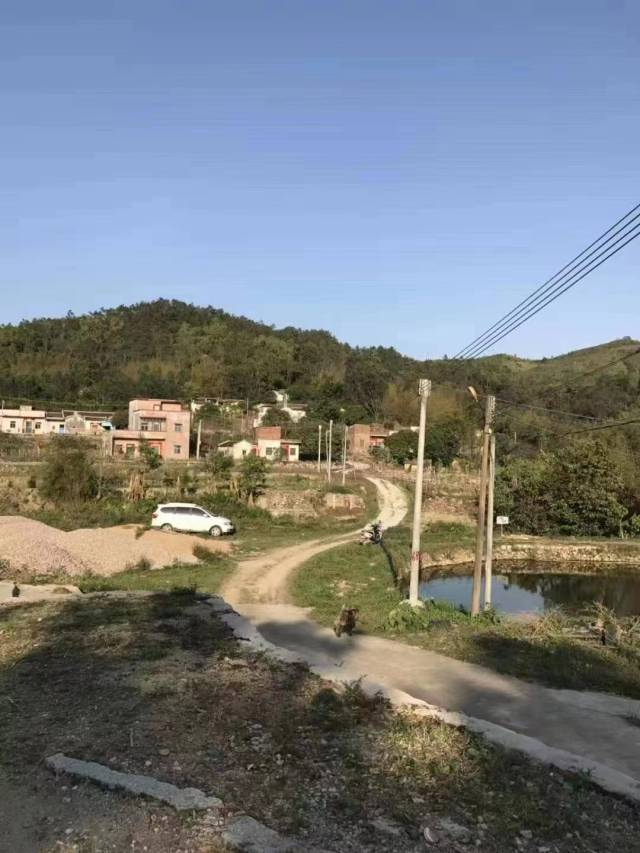 曾经的北中村宜笏自然村主村道为泥沙路、杂草丛生 曾经的北中村宜笏自然村主村道为泥沙路、杂草丛生