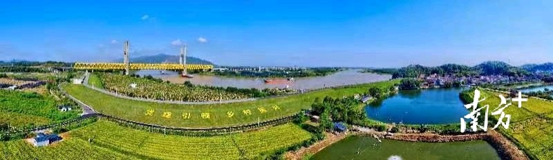 三水区级统筹农村集体“三资”管理服务，啃基层综合治理改革硬骨头。三宣供图