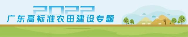 建管并重，融合发展！肇庆市建成高标准农田155万亩