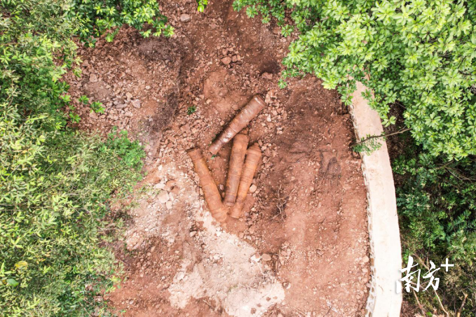 9月6日，鸦片战争博物馆在蛇头湾炮台旧址发现4门古炮。