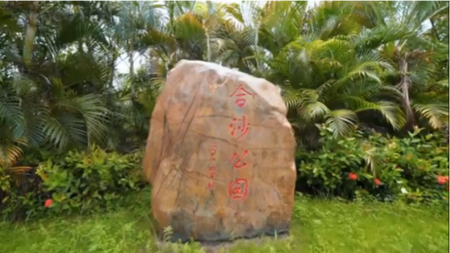 Hi 我在榄核的第93天